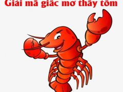 giải mã giấc mơ thấy tôm tép